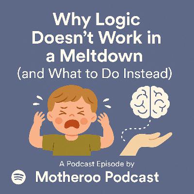 Why Logic Doesn’t Work in a Meltdown (and What to Do Instead)