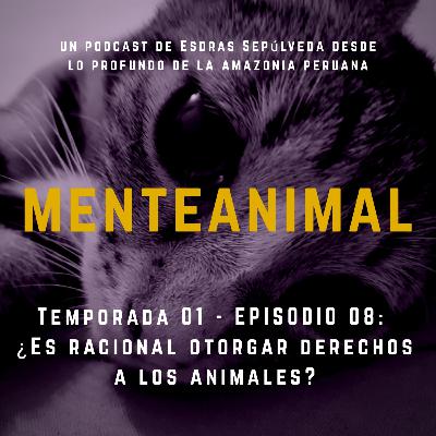 Temporada 01 - Ep 08 : ¿Es racional otorgar derechos a los animales?