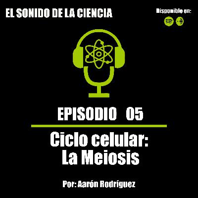 T1E05: Ciclo celular: La Meiosis (Parte 2)