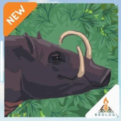 Episode 11: Babirusa Episode 11: Babirusa