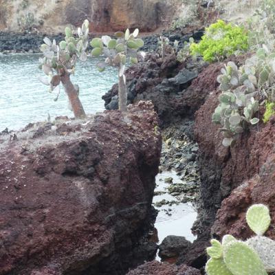 Trailer for The Miraculous Islands Trailer for The Miraculous Islands