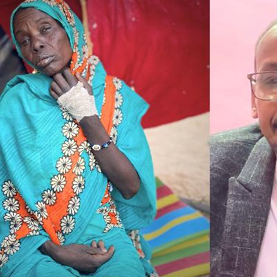 RSF atrocities in Sudan's el-Fasher is 'fake', TASIS spokesman says