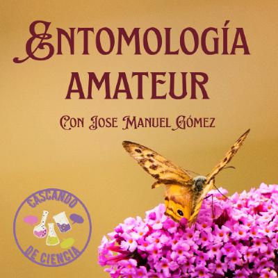 06. Entomología Amateur. Con Jose Manuel Gómez