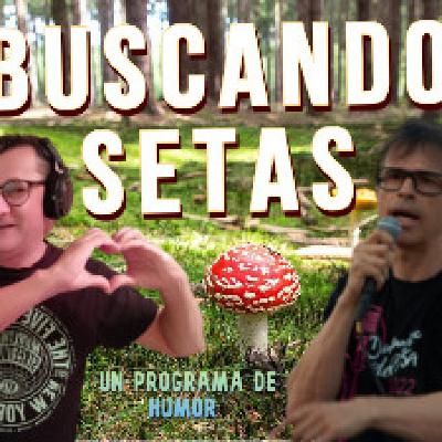 Buscando Setas 20 5T Buscando Setas 20 5T