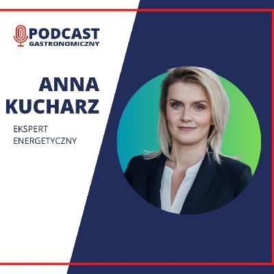 Anna Kucharz, Ekspert energetyczny