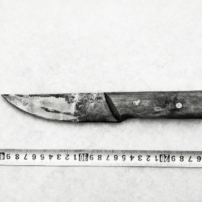 60.村中惨死的小卖部老板娘,为其守陵老人的意外,接连出现的嫌疑人 60.村中惨死的小卖部老板娘,为其守陵老人的意外,接连出现的嫌疑人