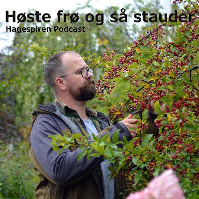 36/25: Tilbakeblikk - Høste frø og så stauder med Tommy Tønsberg
