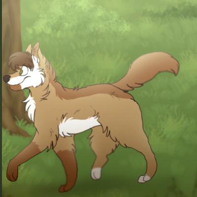 The last wolf pup Chapter 2