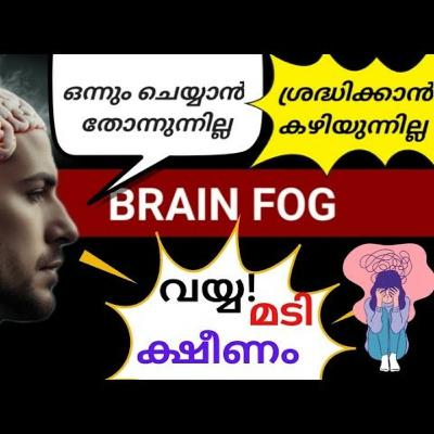 ജോലിയെടുക്കാൻ തോന്നാത്തതിന്റെ കാരണം Brain Fog ആയിരിക്കാം