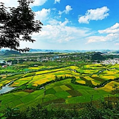 中国历史文化名村：贵州安顺鲍屯村