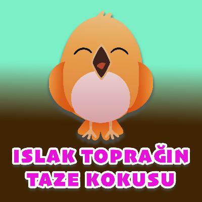 MİNİK KUŞ'UN GÜNLÜĞÜ: ISLAK TOPRAĞIN TAZE KOKUSU - UYKU ÖNCESİ MASAL VE NİNNİ