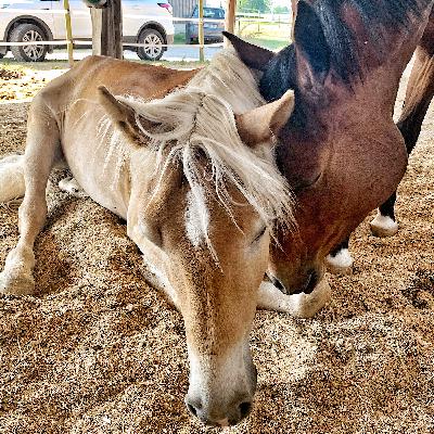 Banging In Captivity 3