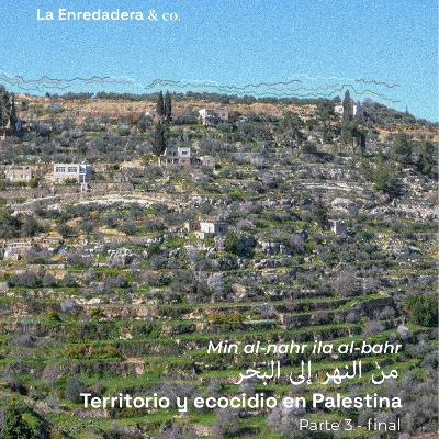 Min al-nahr ila al-bahr. Territorio y ecocidio en Palestina, Parte 3