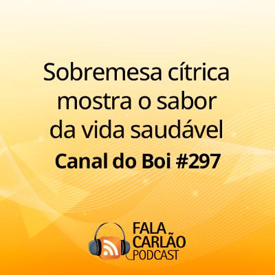 Sobremesa cítrica mostra o sabor da vida saudável | Canal do Boi #297