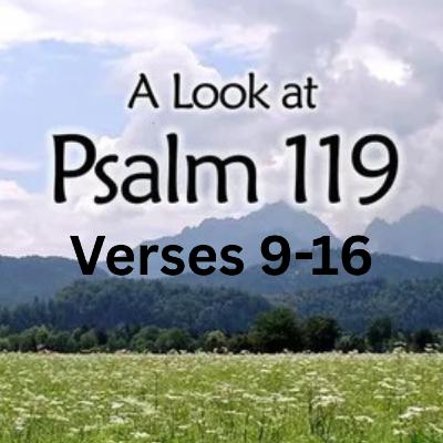 Psalm 119 verses 9-16 Psalm 119 verses 9-16
