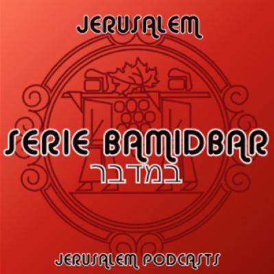 Serie: Parashiot 5781 - Bamidbar-Matot-Masei: Vestimentas Espirituales