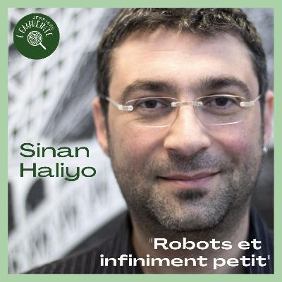 #5 Sinan Haliyo : Robots et infiniment petit