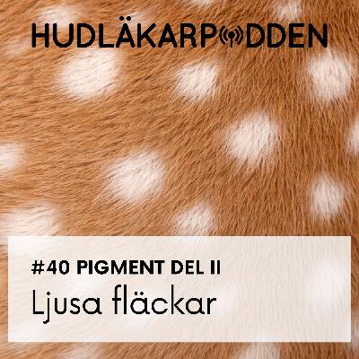 #40 Pigment del 2 - Ljusa fläckar