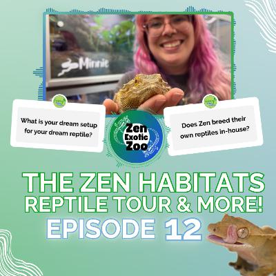 Kasey Talks Critters Ep 12 | Zen Habitats Mini Reptile Tour, Dream Reptile Enclosure, and MORE!