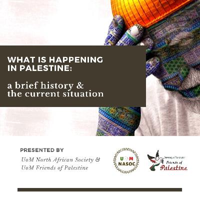 What is happening in Palestine: a brief history & the current situation