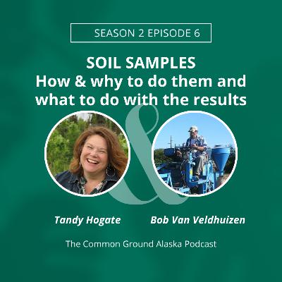 SOIL TESTING - How & why to do them and what to do with the results