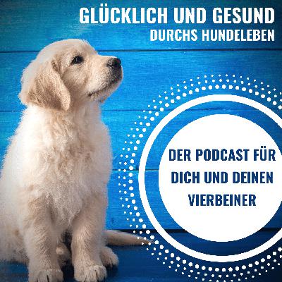 #129 Hunde und Kleidung #129 Hunde und Kleidung