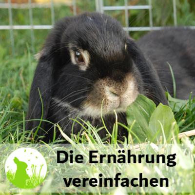 Kaninchen-Ernährung vereinfachen - mach dir das Leben leichter!