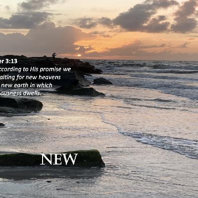 Episode 125: Promise #125 - New