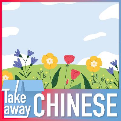 Blossoms in the air: Learn Chinese through flower appreciation 与花相约，赴一场春天的约会