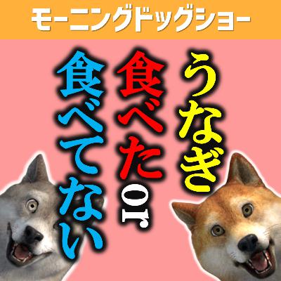 うなぎ食べたor食べてない