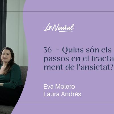 36 - Quins són els passos en el tractament de l'ansietat?