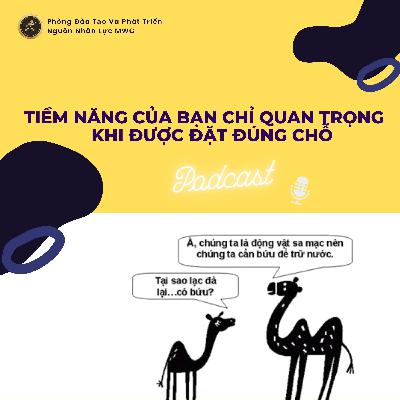 #48 Chuyện hay mỗi tuần: Tiềm Năng Của Bạn Chỉ Quan Trọng Khi Được Đặt Đúng Chỗ