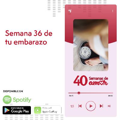 40 Semanas de Amor - Semana 36 de Embarazo