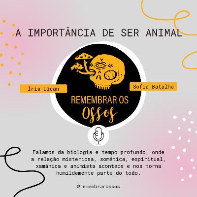 A importância de Ser Animal A importância de Ser Animal