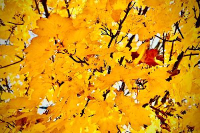 Boldogok a békességszerzők