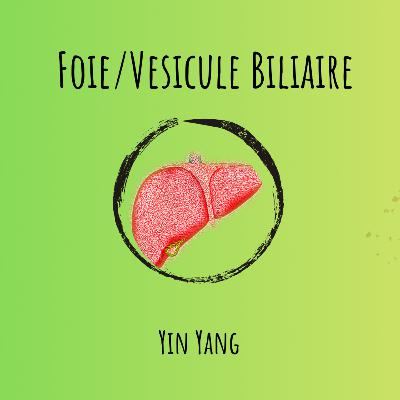 Foie et Vésicule Biliaire Foie et Vésicule Biliaire