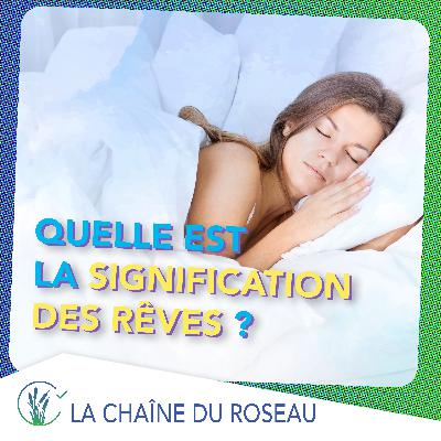 Quelle est la signification des rêves ?