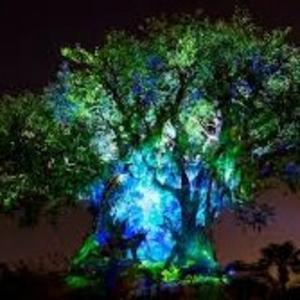 Daily Life Daily Life