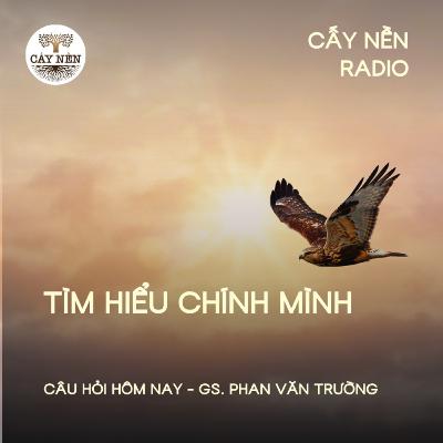 Tìm hiểu chính mình | GS Phan Văn Trường | Giọng đọc: Đặng Hằng | Cấy Nền Radio