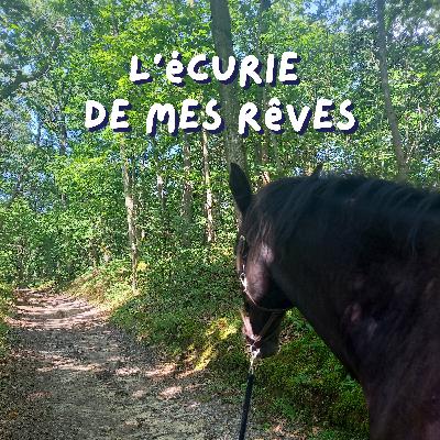 24. Réflexion sur le monde équestre - L'écurie de mes rêves 24. Réflexion sur le monde équestre - L'écurie de mes rêves
