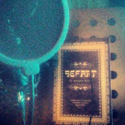 SEFART, El software divino, G.N.Bergmann, M. Navarro, D. Ríos