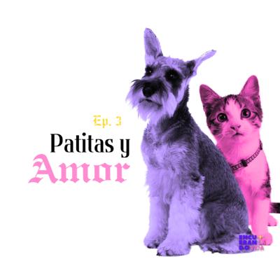 Patitas y amor