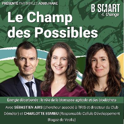 LE CHAMP DES POSSIBLES - Énergie décarbonée : le rôle de la biomasse agricole et des biodéchets LE CHAMP DES POSSIBLES - Énergie décarbonée : le rôle de la biomasse agricole et des biodéchets