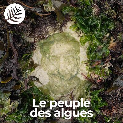 Le Peuple Des Algues : Tanguy Gauvin - Ep 2/10