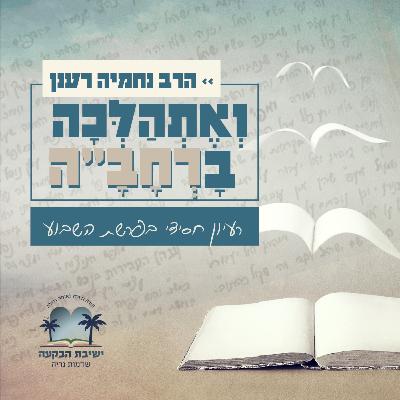 פרשת נצבים: כי קרוב אליך הדבר מאוד - האוצר מתחת לתנור