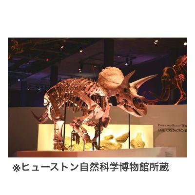 「Sony presents DinoScience 恐竜科学博 ～ララミディア大陸の恐竜物語～」を7月17日（土）より、パシフィコ横浜で開催
