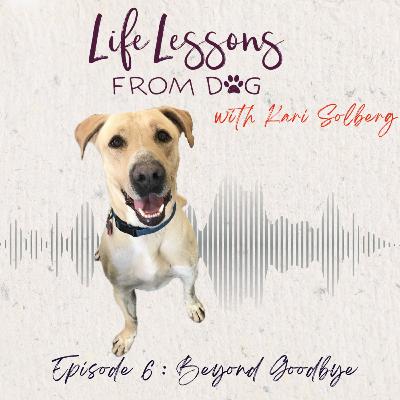 Beyond Goodbye: What Grief Teaches Us About Love and Letting Go
