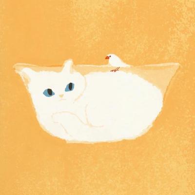 Vol.3 养猫手记：和独立小猫的亲密关系探索