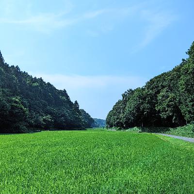 【6-1】え、それって日本だけ？！今年のお盆を噛み締めよう【祭りFM】