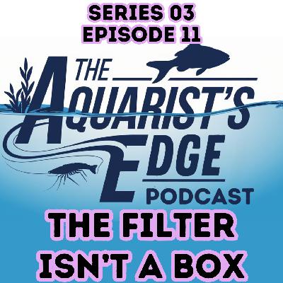 The Filter Isn’t a Box: How Flow, Oxygen & Biofilm Make (or Break) a Healthy Freshwater Aquarium The Filter Isn’t a Box: How Flow, Oxygen & Biofilm Make (or Break) a Healthy Freshwater Aquarium
